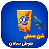 شن صدفی طوطی ها جهت سلامت دستگاه گوارش طوطی سانان