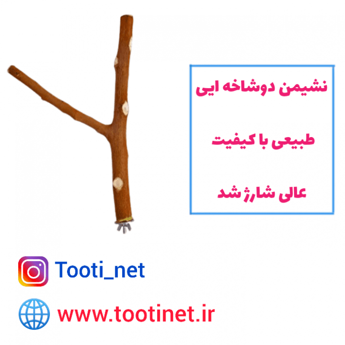 نشیمن دوشاخه طبیعی