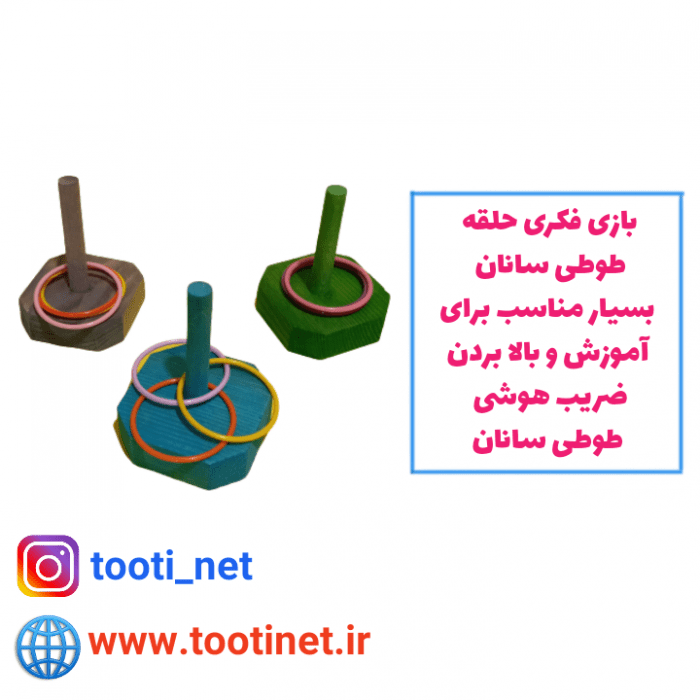 بازی فکری حلقه برای طوطی ها