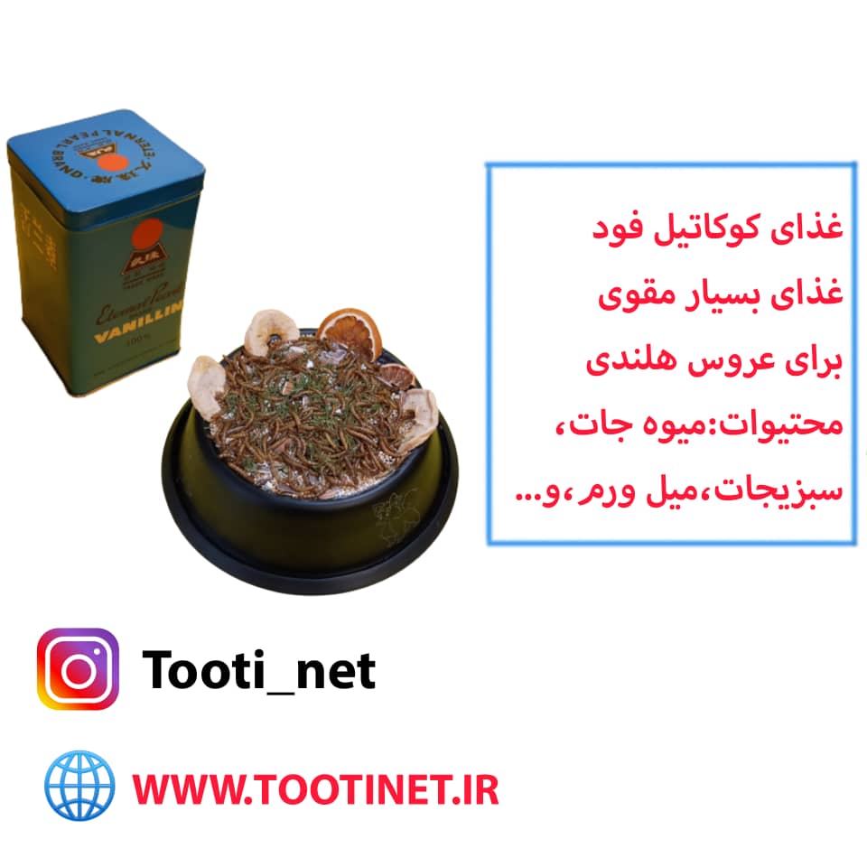 کوکاتیل فود - غذای مقوی عروس هلندی