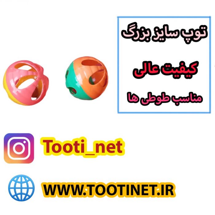 توپ سایز بزرگ برای طوطی