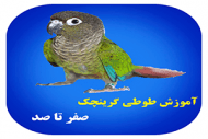 طوطی گرینچیک